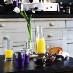 Bormioli Rocco Ypsilon Karaf 0,25 L -Keukenbenodigdheden Winkel 105 3205 2 1